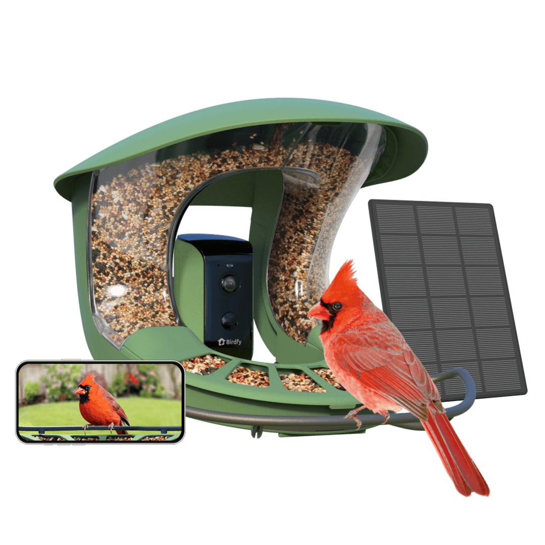 Birdfy Feeder 2 - Smart Bird Feeder