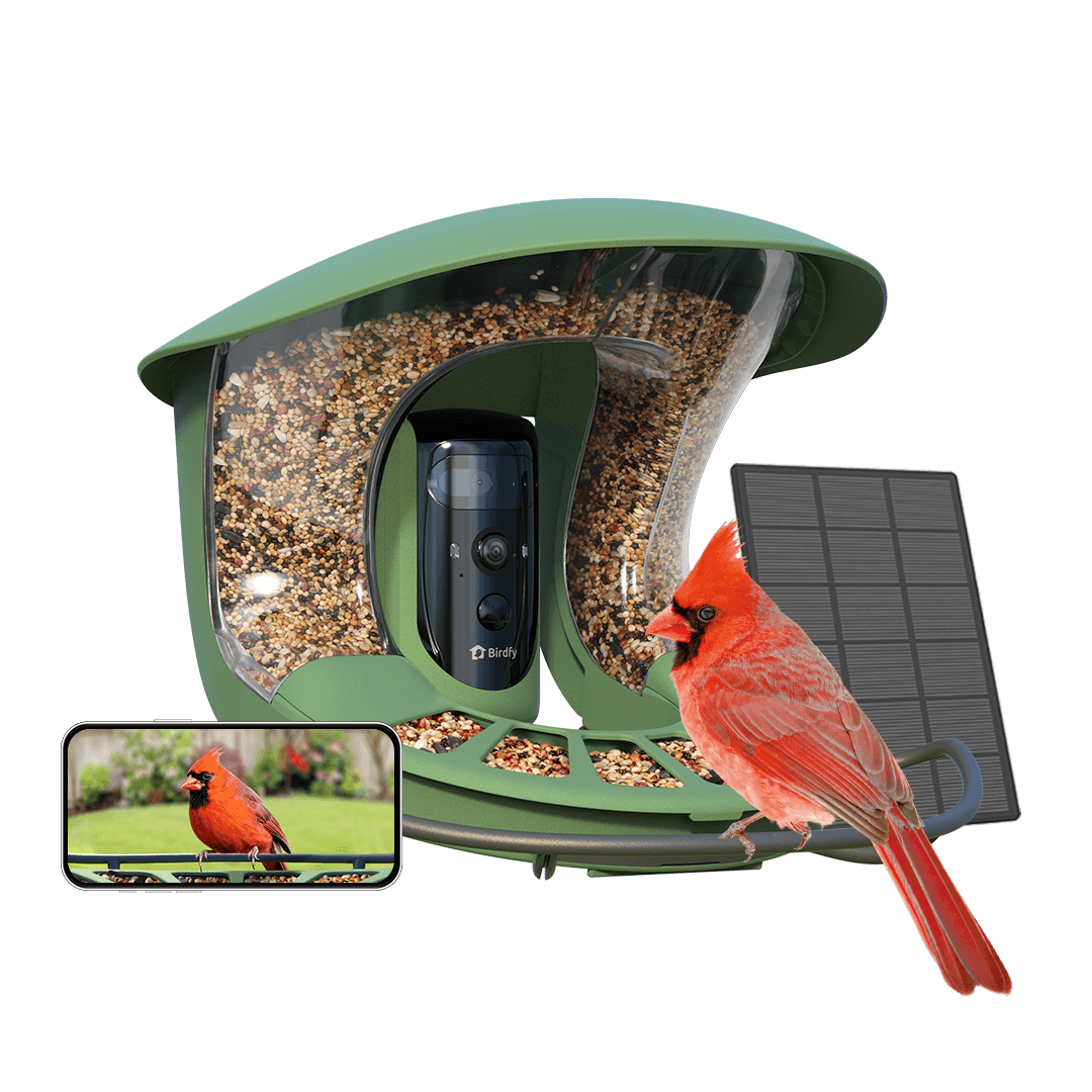 [Preorder] Birdfy Feeder 2 Pro - Bird Feeder Camera