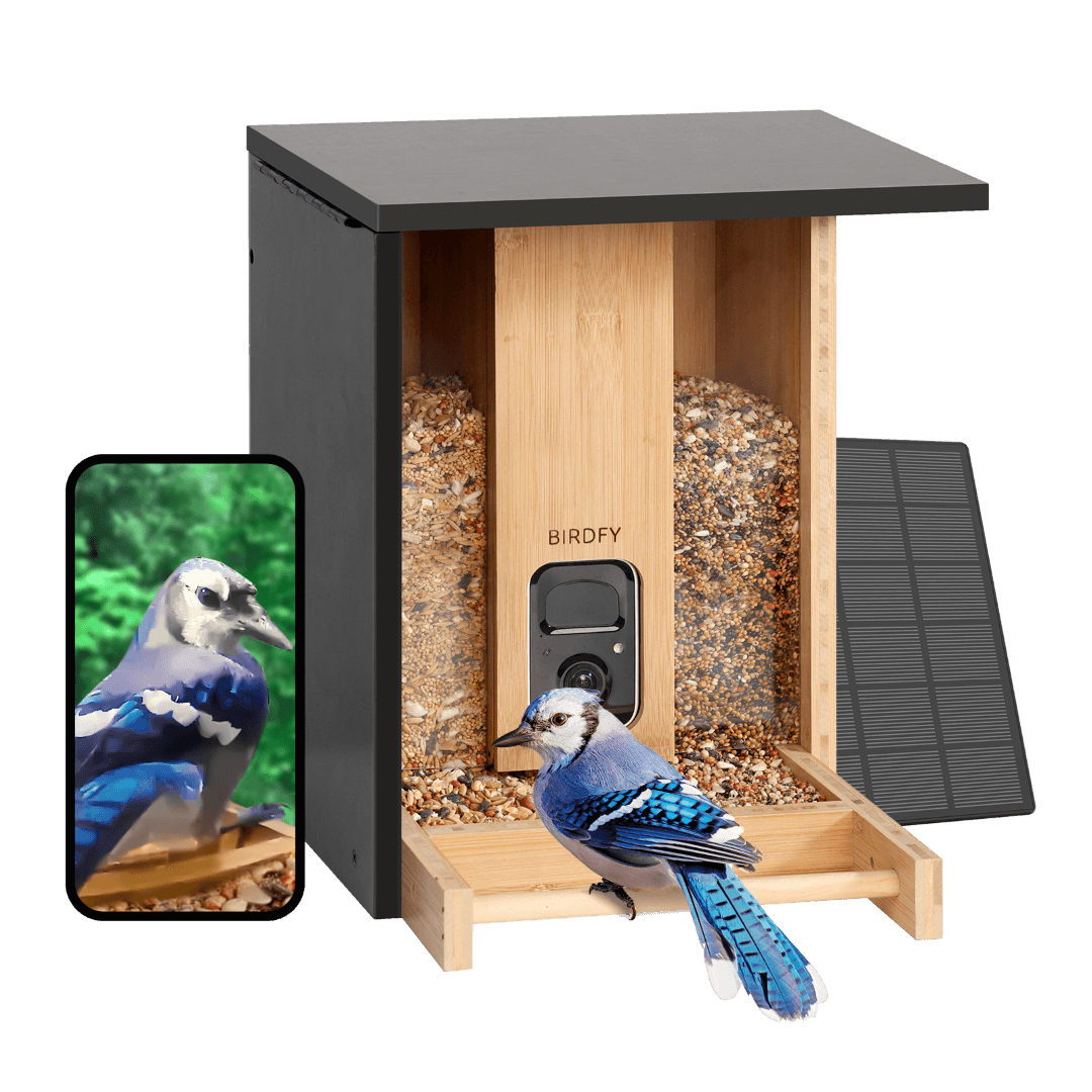 Birdfy Feeder Bamboo - Smart Bird Feeder with Eco-friendly Material