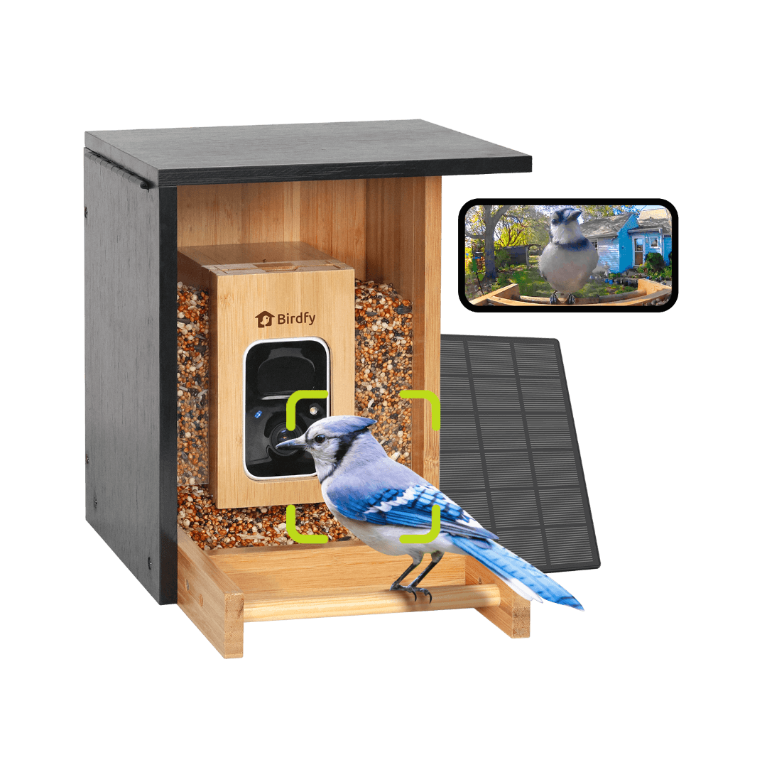 Birdfy Feeder Bamboo Mini - Bird Feeder With Camera