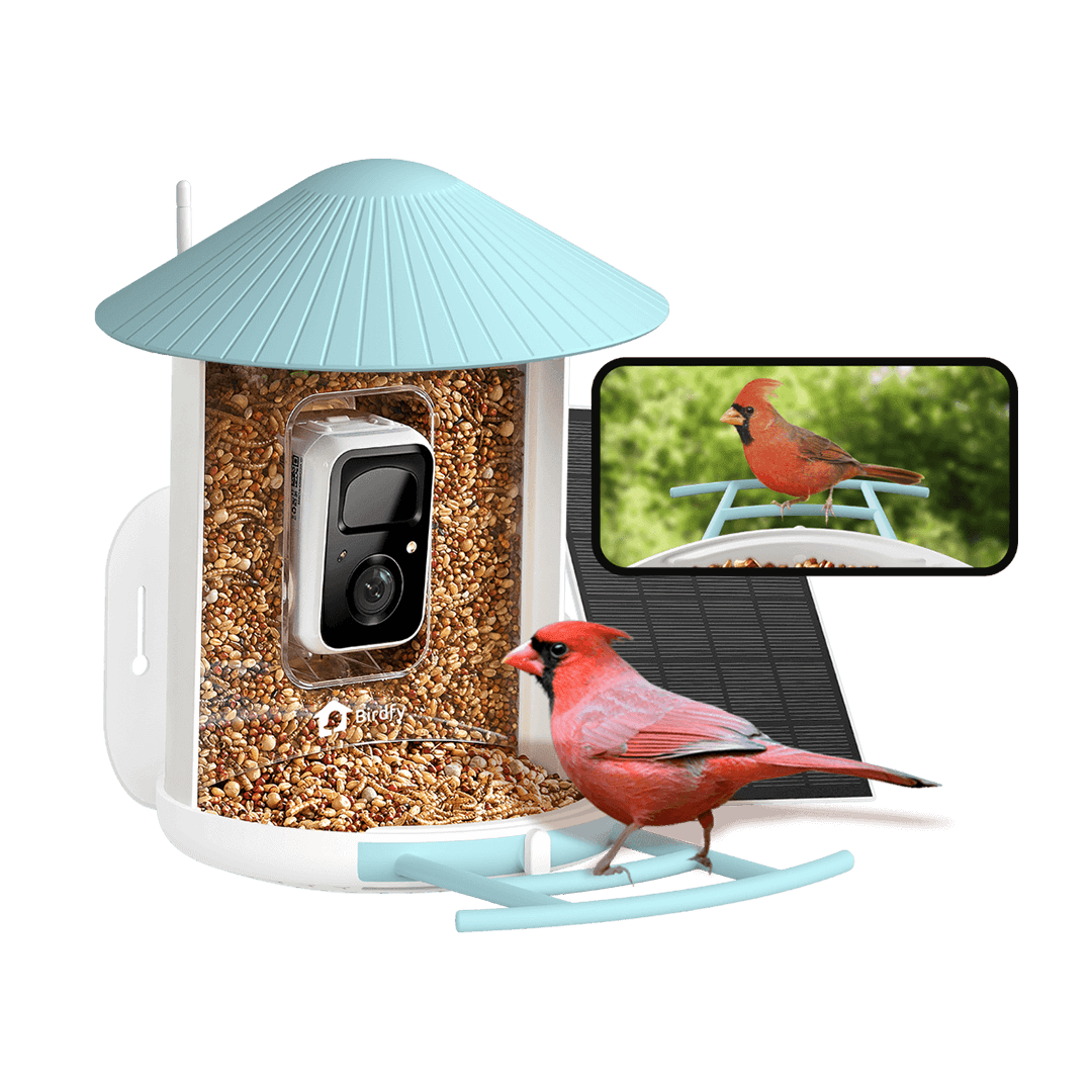 Birdfy Feeder with Solar Panel - Solar Powered Bird Feeder Camera