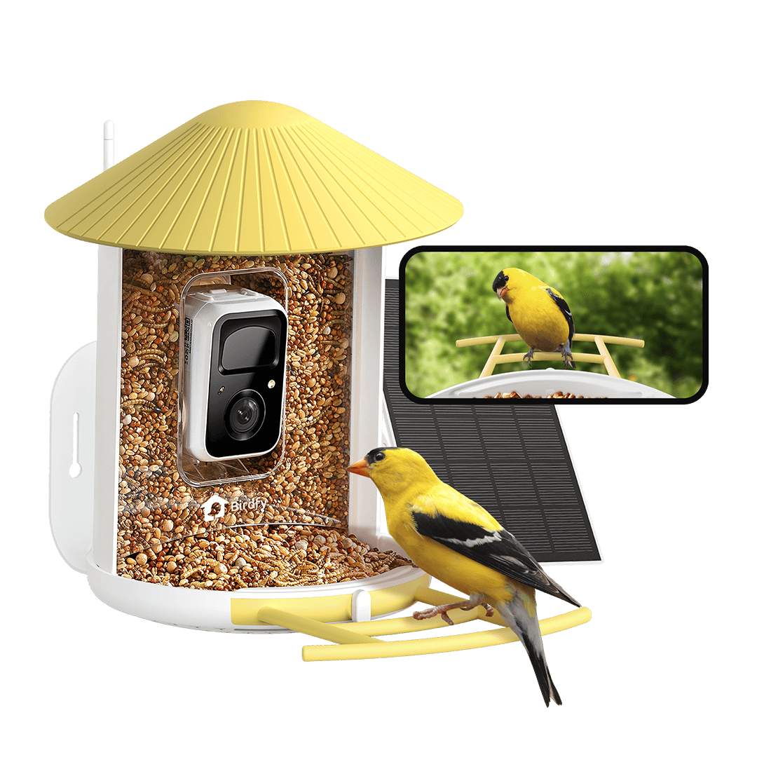 Birdfy Feeder with Solar Panel - Solar Powered Bird Feeder Camera