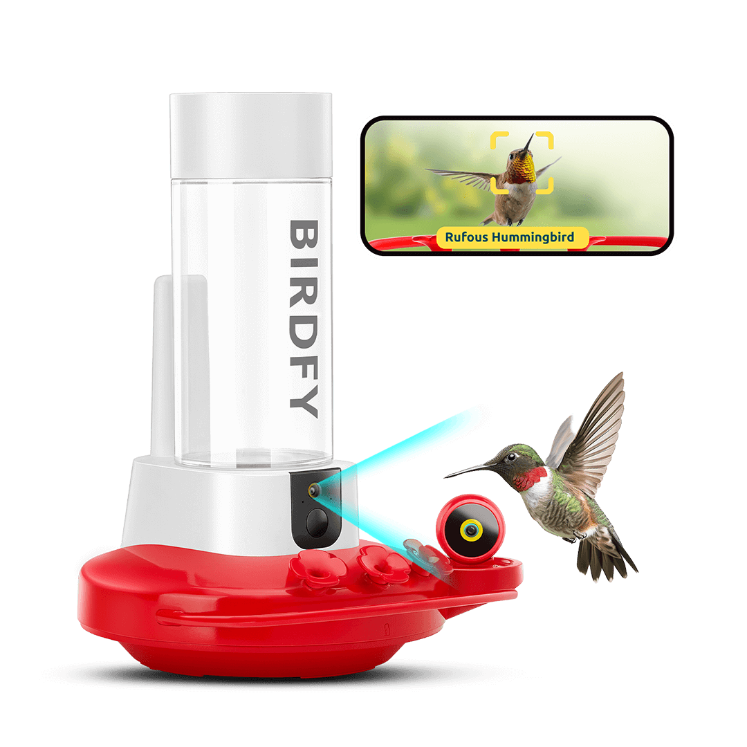 Birdfy Hum Feeder Duo - Hummingbird Feeder with Dual Camera