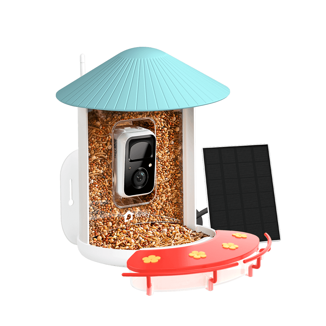 Birdfy Feeder 1 with Hummee Set - Bird Feeder Camera with Hummingbird Feeding Set