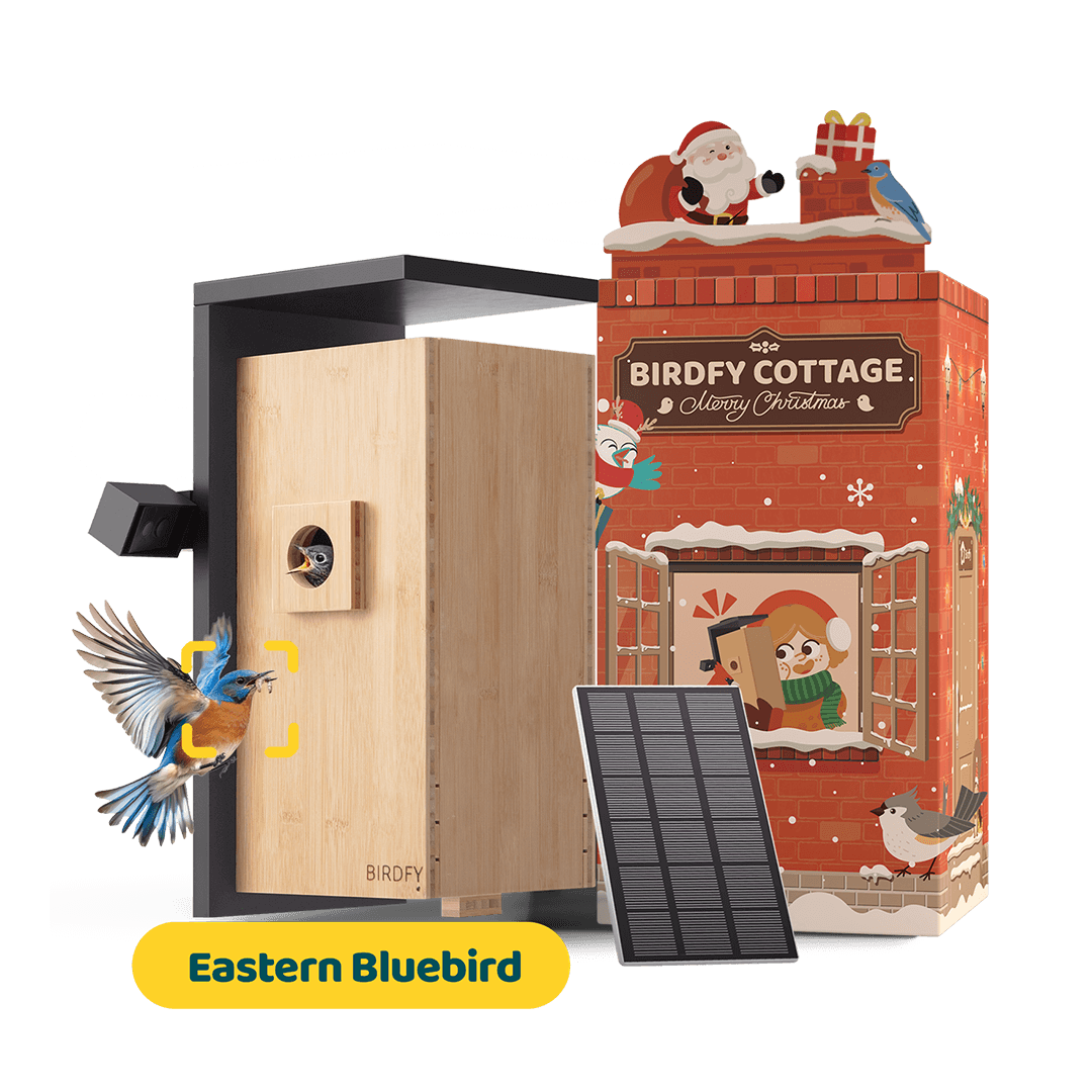 Birdfy Nest - Smart Bird House with Dual Cameras