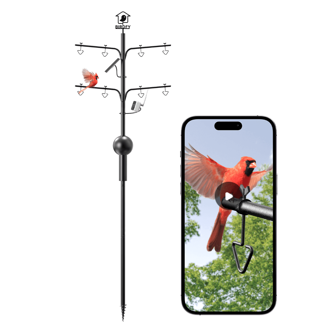 Birdfy Pole - Bird Feeder Pole