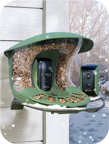 Birdfy_Feeder2_Duo