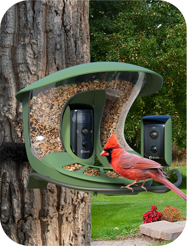 Birdfy_Feeder2_Duo