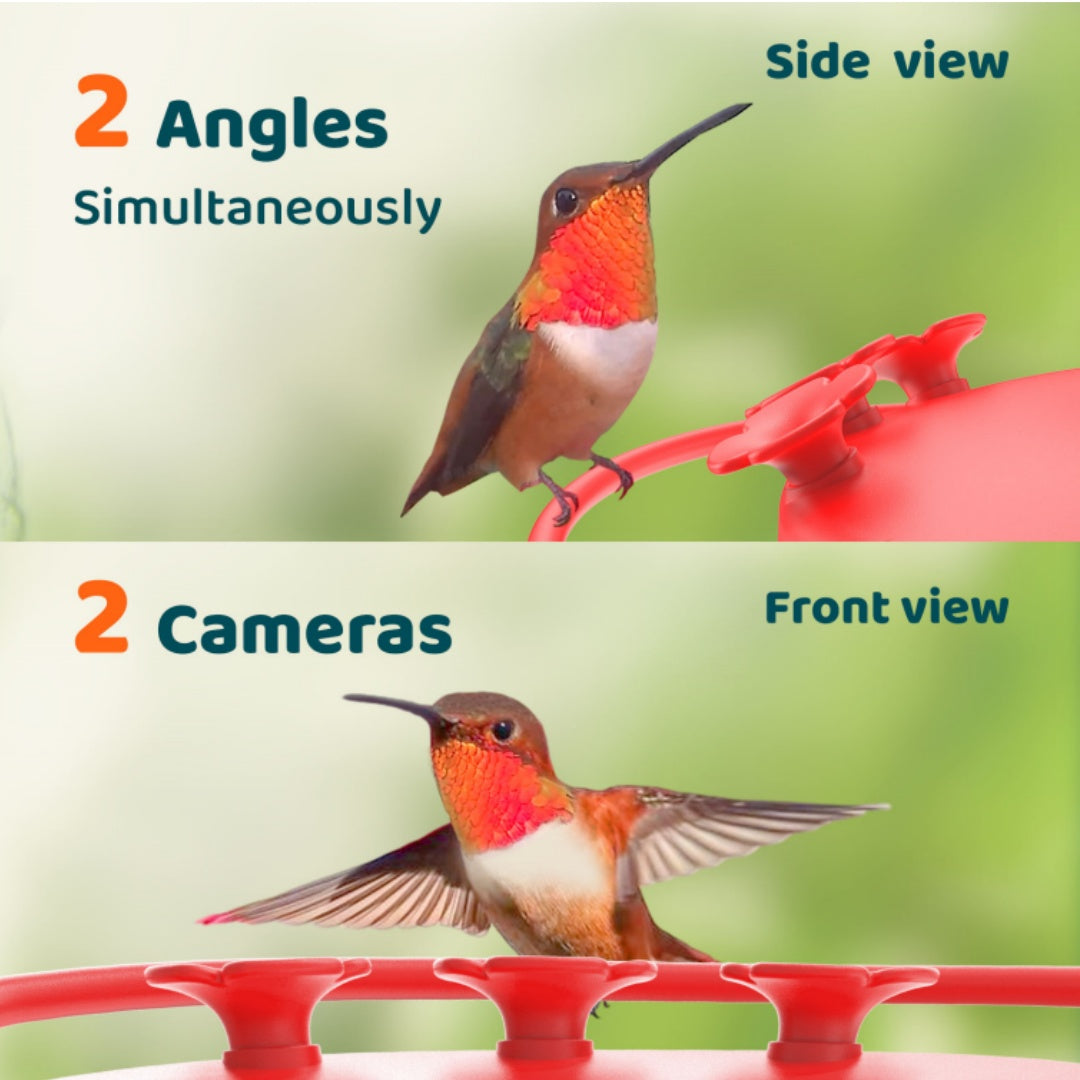 Birdfy Hum Feeder Duo - Hummingbird Feeder with Dual Cameras