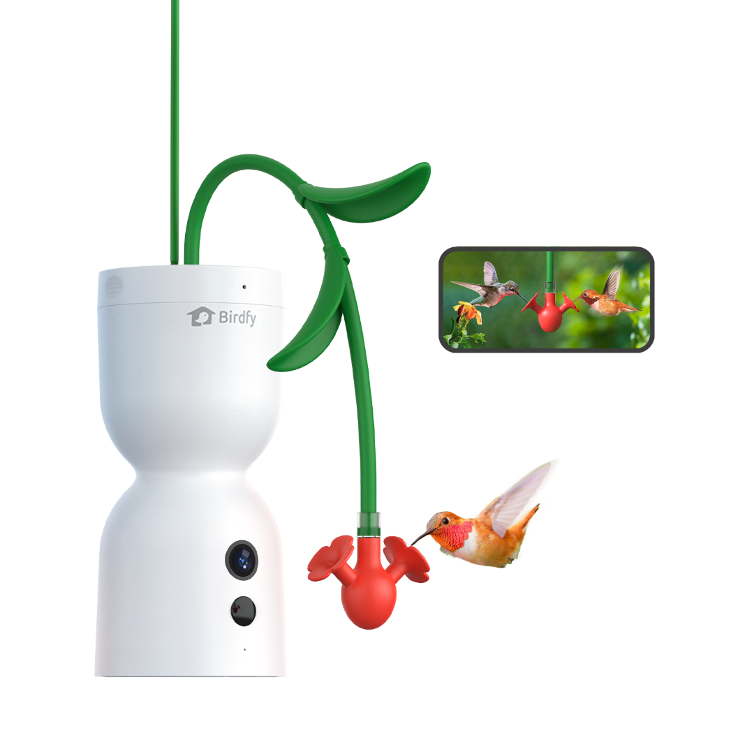 Birdfy Hum Feeder Pro (pledge $1 for early delivery)