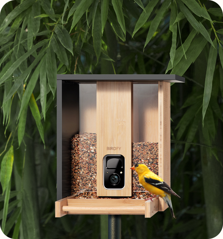 birdfy_feeder