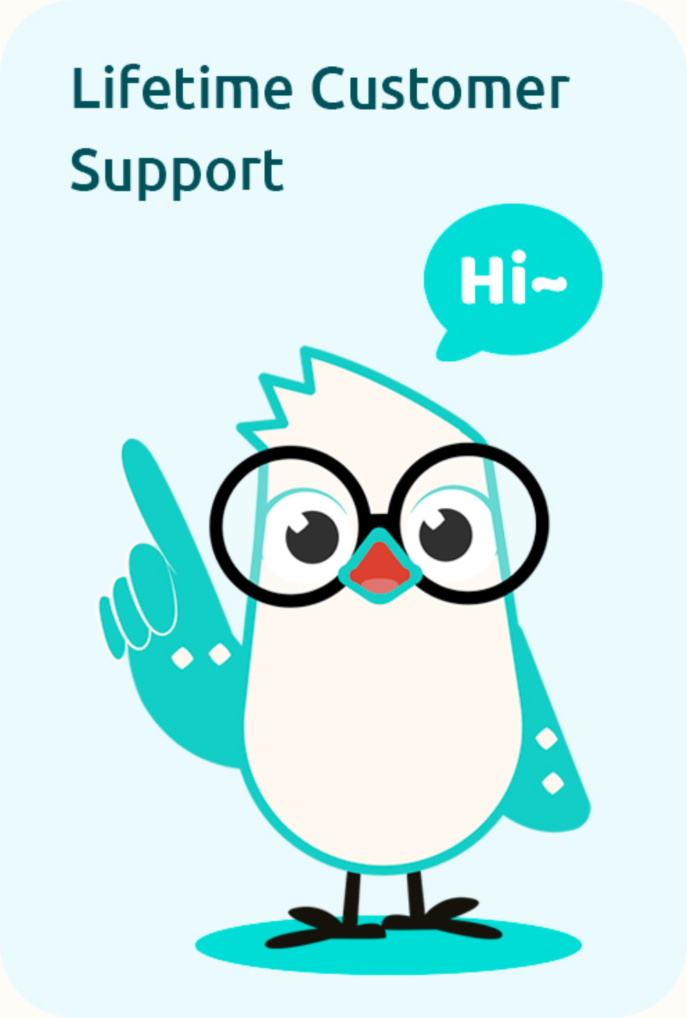 birdfy_support