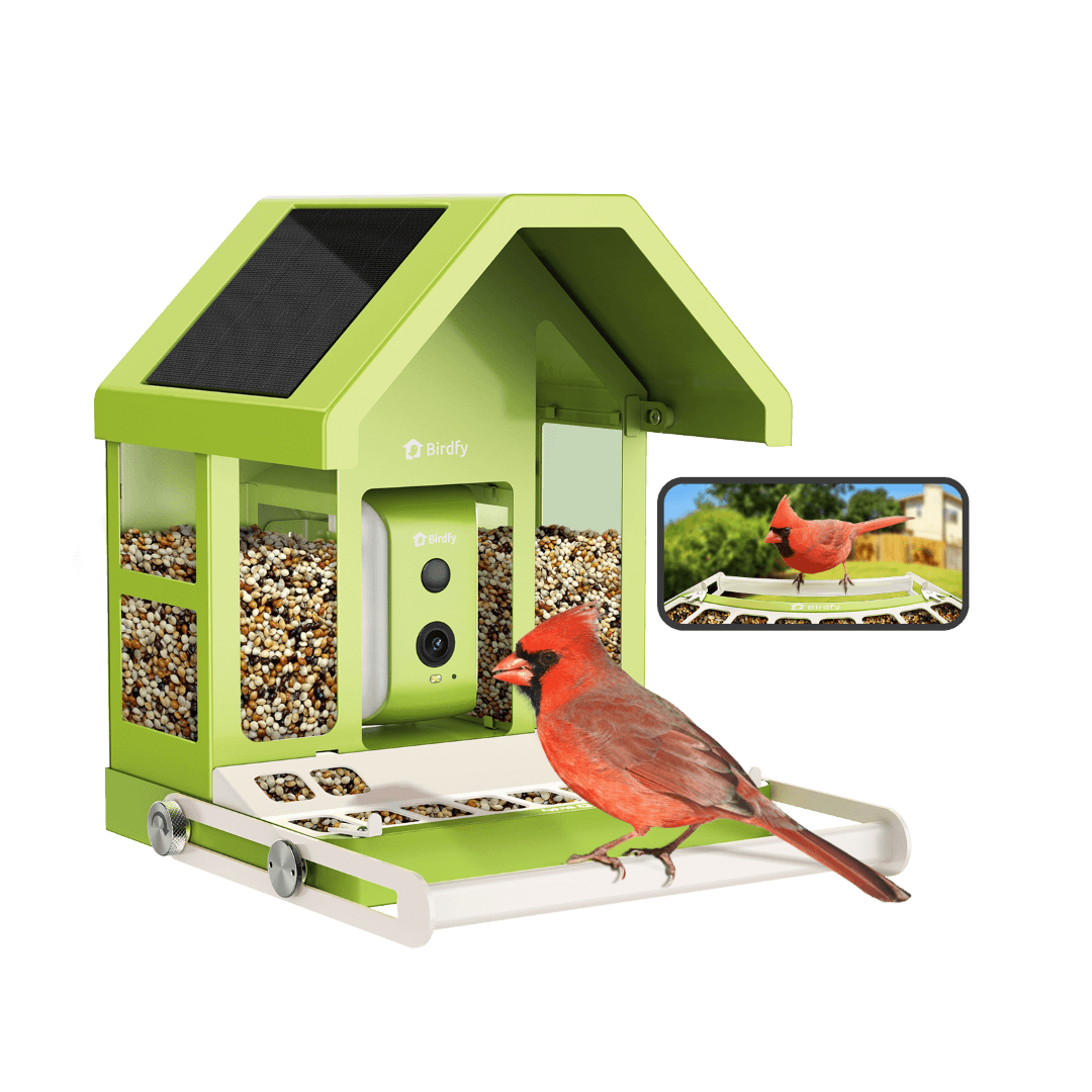 Birdfy Feeder Metal