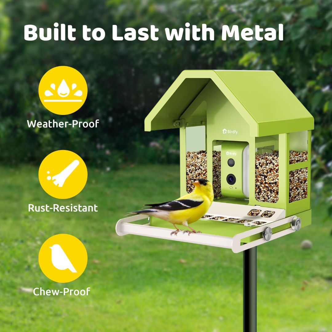 Birdfy Feeder Metal