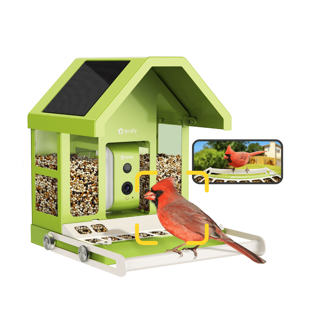 Birdfy Feeder Metal