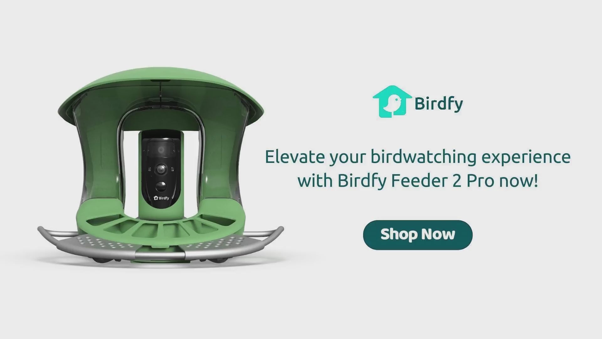 Birdfy 2Pro video1.mp4__PID:9bc11fb9-c264-4362-910b-a8674fb98857