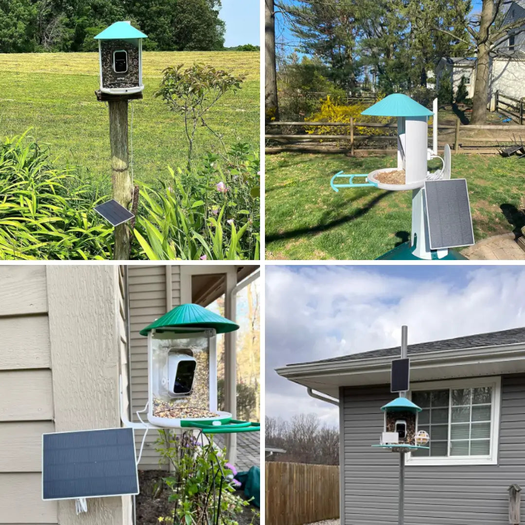 Birdfy Feeder 1 with Solar Panel